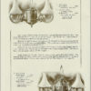 Angle Lamps, The Light That Never Fails. 1910 - 1912 Catalog Reprint - Image 3